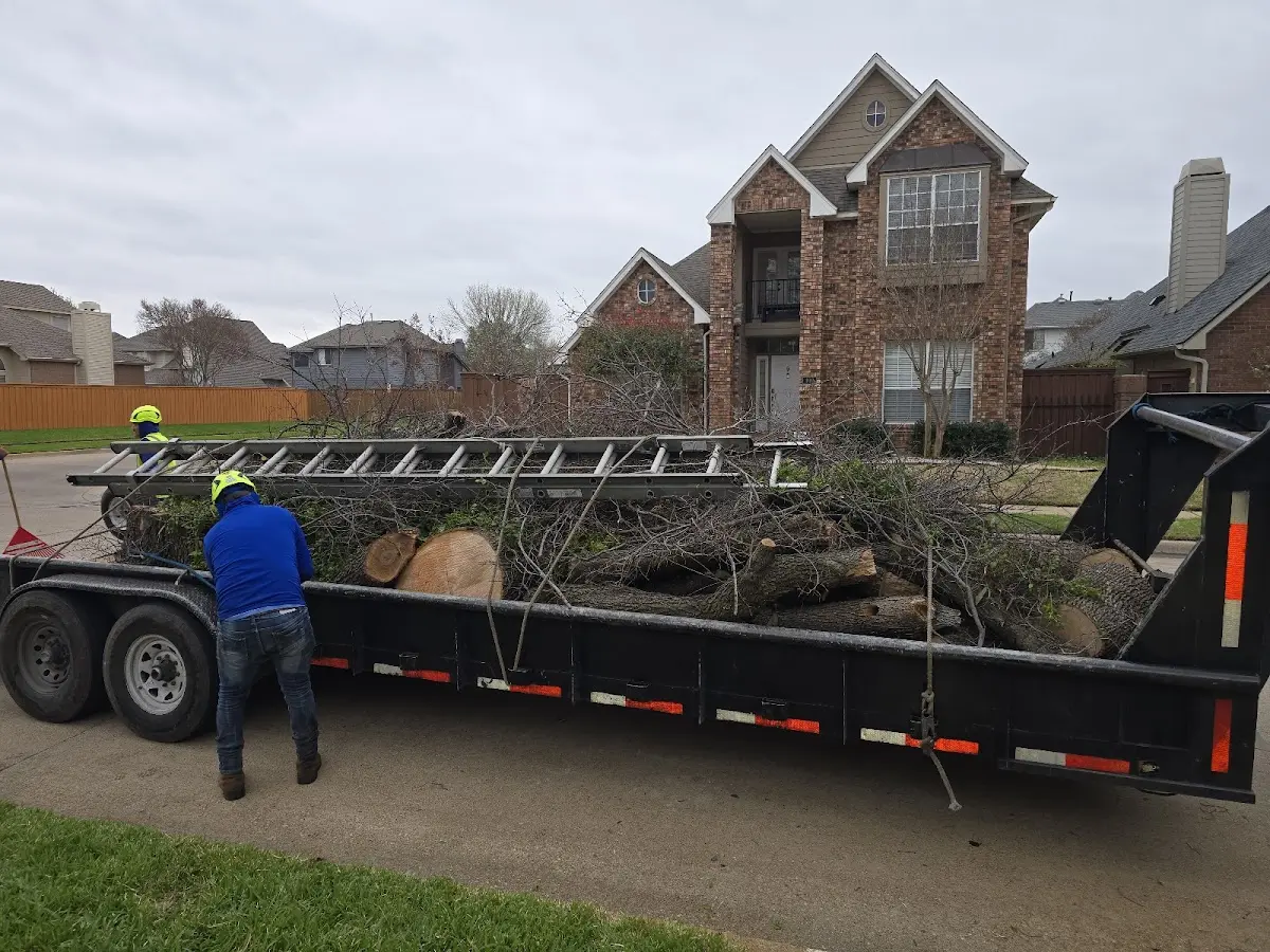 Expert Tree Fertilization with proper safety equipment in Piedmont